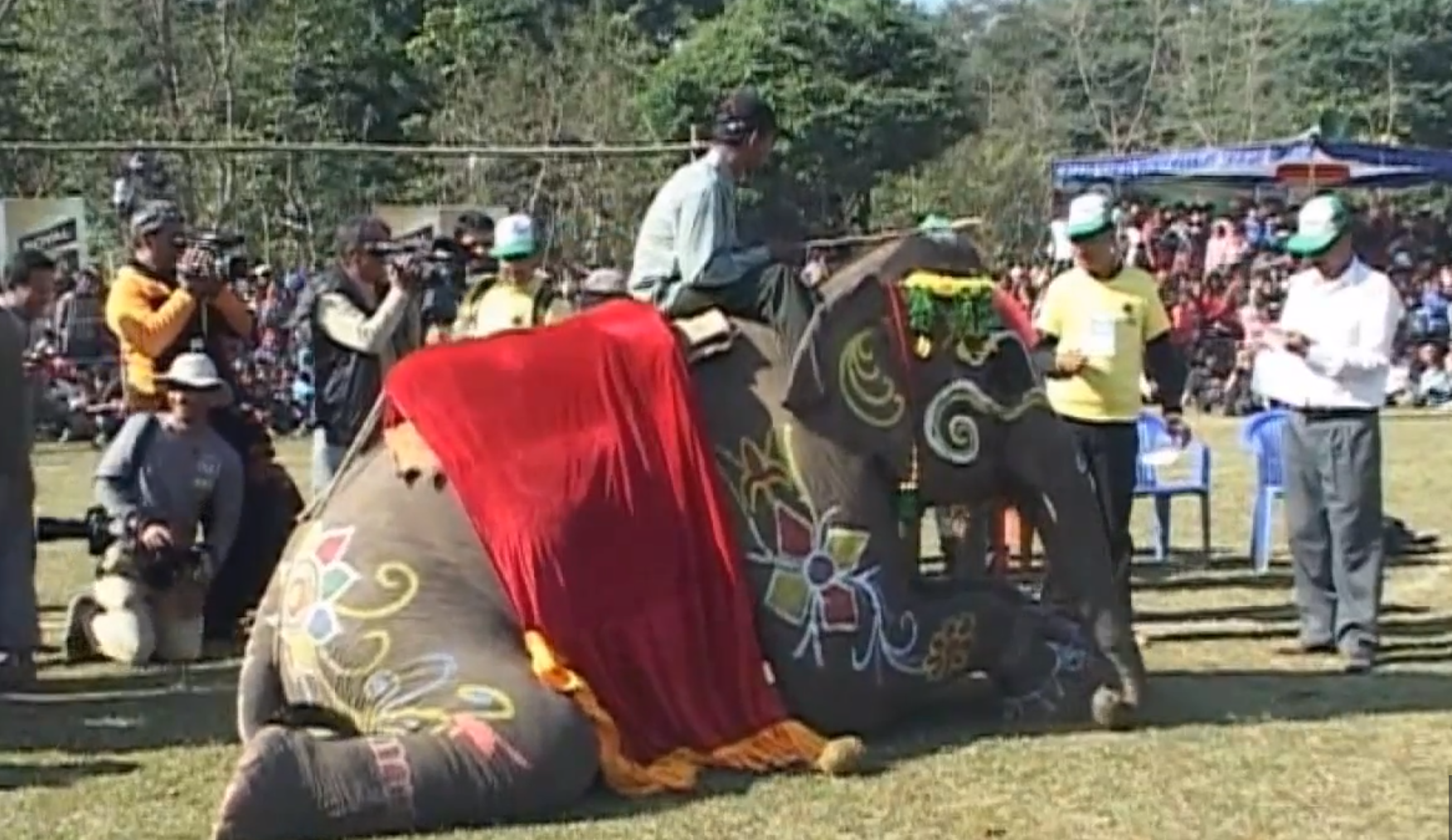 elefantfestival, Nepal, Skönhetstävling, Elefanter